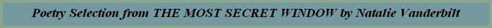 Poetry Selection from THE MOST SECRET WINDOW by Natalie Vanderbilt
